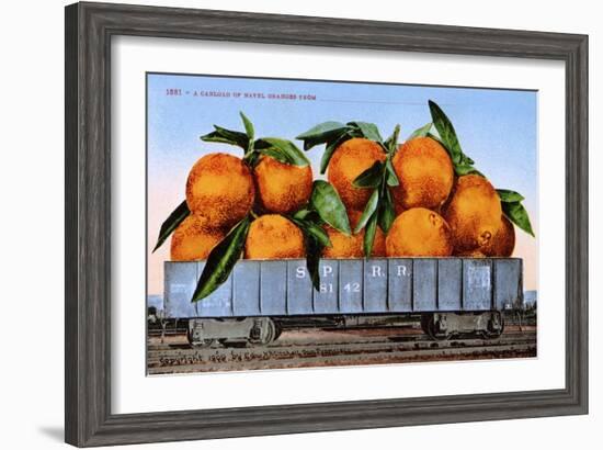 A Carload of Navel Oranges Postcard-null-Framed Giclee Print