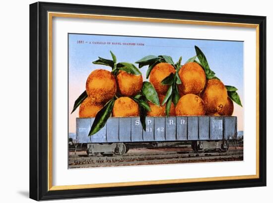 A Carload of Navel Oranges Postcard-null-Framed Giclee Print