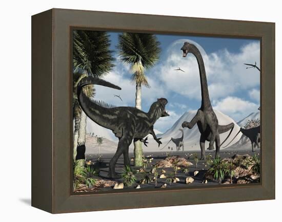 A Carnivorous Allosaurus Confronts a Giant Diplodocus Herbivore During the Jurassic Period on Earth-Stocktrek Images-Framed Premier Image Canvas