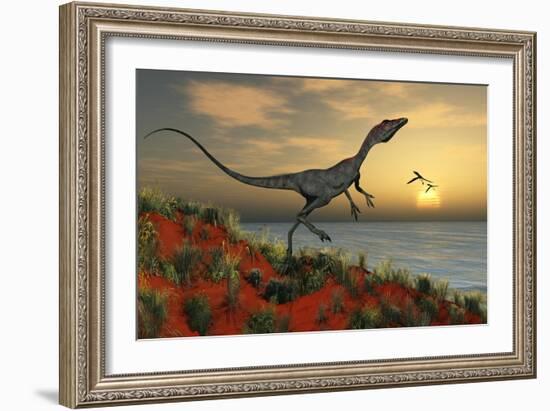 A Carnivorous Compsognathus Dinosaur-null-Framed Art Print