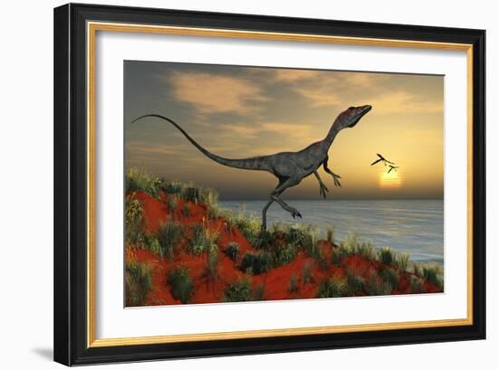 A Carnivorous Compsognathus Dinosaur-null-Framed Art Print