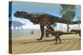 Stretched Canvas Print