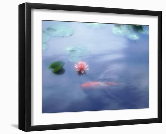 A Carp in Lily Pond, Kyoto, Japan-null-Framed Photographic Print