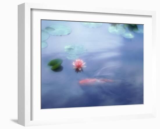 A Carp in Lily Pond, Kyoto, Japan-null-Framed Photographic Print