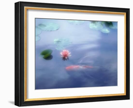 A Carp in Lily Pond, Kyoto, Japan-null-Framed Photographic Print