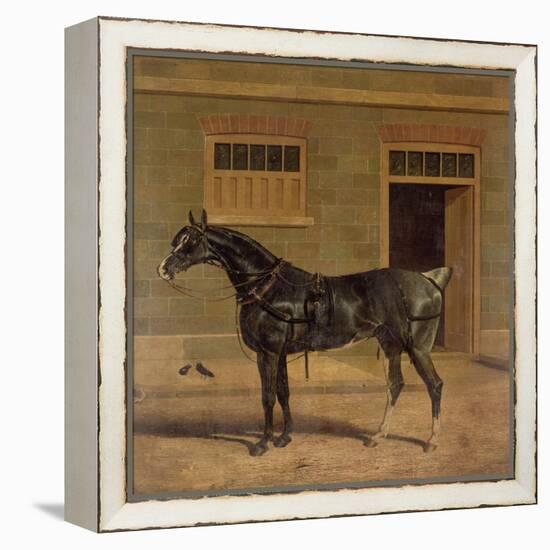 A Carriage Horse in a Stable Yard-John Frederick Herring I-Framed Premier Image Canvas