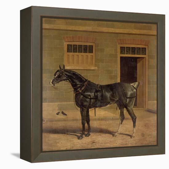A Carriage Horse in a Stable Yard-John Frederick Herring I-Framed Premier Image Canvas