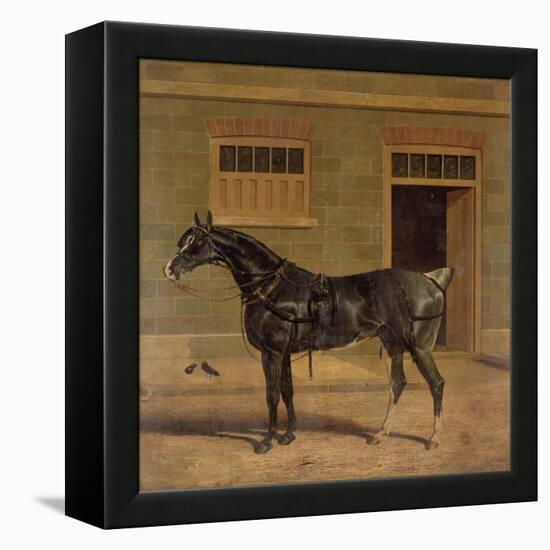 A Carriage Horse in a Stable Yard-John Frederick Herring I-Framed Premier Image Canvas