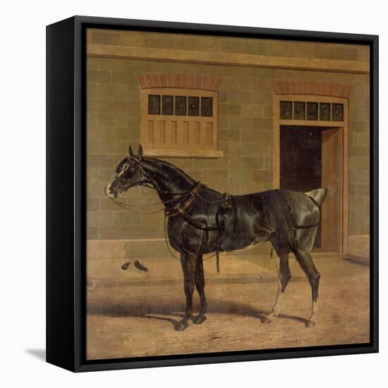 A Carriage Horse in a Stable Yard-John Frederick Herring I-Framed Premier Image Canvas
