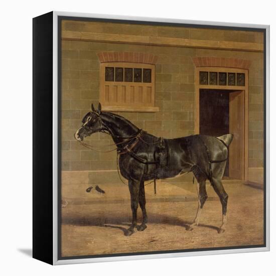 A Carriage Horse in a Stable Yard-John Frederick Herring I-Framed Premier Image Canvas