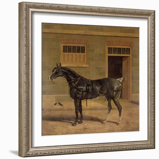 A Carriage Horse in a Stable Yard-John Frederick Herring I-Framed Giclee Print