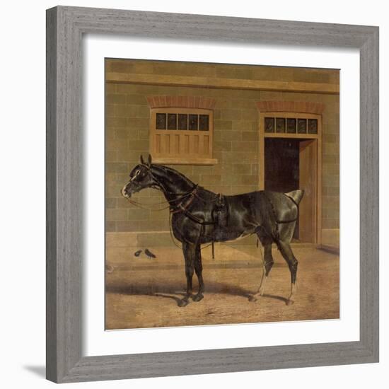 A Carriage Horse in a Stable Yard-John Frederick Herring I-Framed Giclee Print