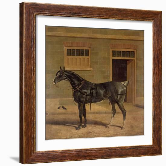 A Carriage Horse in a Stable Yard-John Frederick Herring I-Framed Giclee Print