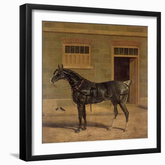 A Carriage Horse in a Stable Yard-John Frederick Herring I-Framed Giclee Print