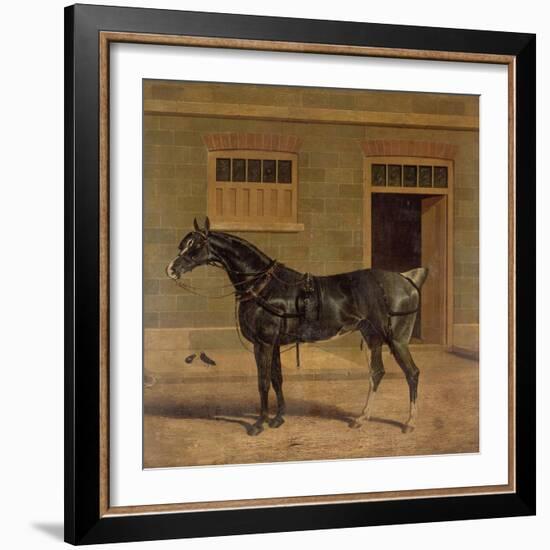 A Carriage Horse in a Stable Yard-John Frederick Herring I-Framed Giclee Print