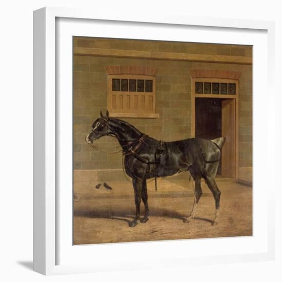 A Carriage Horse in a Stable Yard-John Frederick Herring I-Framed Giclee Print