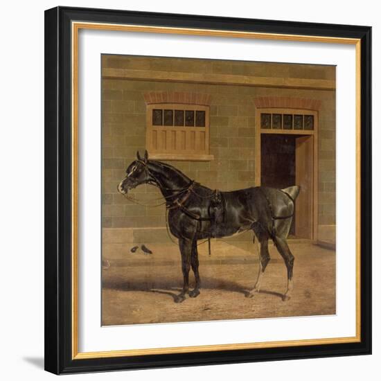 A Carriage Horse in a Stable Yard-John Frederick Herring I-Framed Giclee Print