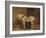 A Cart-Horse (Oil on Canvas)-Theodore Gericault-Framed Giclee Print