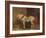 A Cart-Horse (Oil on Canvas)-Theodore Gericault-Framed Giclee Print