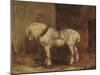 A Cart-Horse (Oil on Canvas)-Theodore Gericault-Mounted Giclee Print