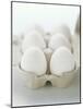 A Carton of Six White Eggs-null-Mounted Photographic Print