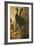 A Cassowary-Francis Barlow-Framed Giclee Print