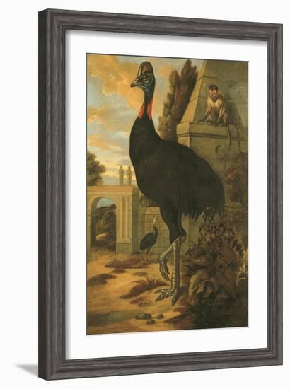 A Cassowary-Francis Barlow-Framed Giclee Print