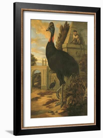 A Cassowary-Francis Barlow-Framed Giclee Print