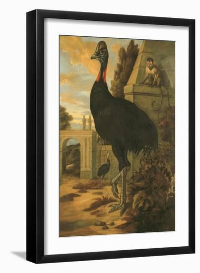 A Cassowary-Francis Barlow-Framed Giclee Print