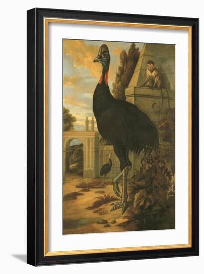 A Cassowary-Francis Barlow-Framed Giclee Print