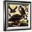 A Cast of Hawks-English School-Framed Giclee Print