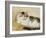 A Cat, 1893-Henriette Ronner-Knip-Framed Giclee Print