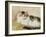 A Cat, 1893-Henriette Ronner-Knip-Framed Giclee Print