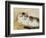 A Cat, 1893-Henriette Ronner-Knip-Framed Giclee Print