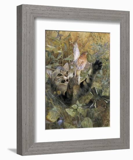 A Cat and a Chaffinch, 1885, by Bruno Liljefors, 1860–1939, Swedish painting,-Bruno Liljefors-Framed Art Print