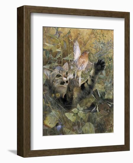 A Cat and a Chaffinch, 1885, by Bruno Liljefors, 1860–1939, Swedish painting,-Bruno Liljefors-Framed Art Print