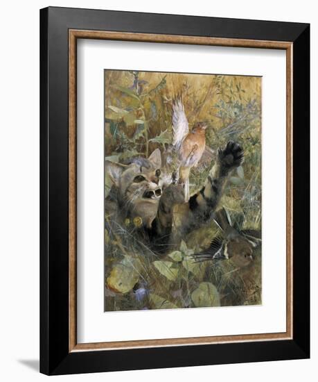 A Cat and a Chaffinch, 1885, by Bruno Liljefors, 1860–1939, Swedish painting,-Bruno Liljefors-Framed Art Print