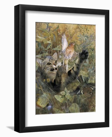 A Cat and a Chaffinch, 1885, by Bruno Liljefors, 1860–1939, Swedish painting,-Bruno Liljefors-Framed Art Print