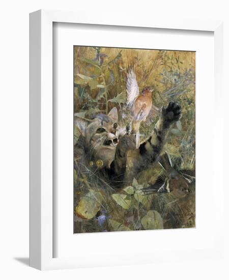 A Cat and a Chaffinch, 1885, by Bruno Liljefors, 1860–1939, Swedish painting,-Bruno Liljefors-Framed Art Print