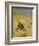 A Cat Basking in the Sun, 1884-Bruno Andreas Liljefors-Framed Giclee Print