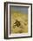 A Cat Basking in the Sun, 1884-Bruno Andreas Liljefors-Framed Giclee Print