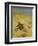 A Cat Basking in the Sun, 1884-Bruno Andreas Liljefors-Framed Giclee Print