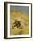 A Cat Basking in the Sun, 1884-Bruno Andreas Liljefors-Framed Giclee Print