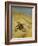 A Cat Basking in the Sun, 1884-Bruno Andreas Liljefors-Framed Giclee Print