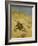 A Cat Basking in the Sun, 1884-Bruno Andreas Liljefors-Framed Giclee Print