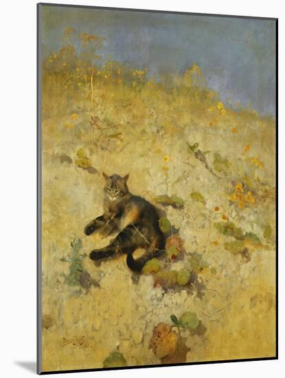 A Cat Basking in the Sun, 1884-Bruno Andreas Liljefors-Mounted Giclee Print