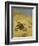 A Cat Basking in the Sun-Bruno Liljefors-Framed Giclee Print