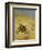 A Cat Basking in the Sun-Bruno Liljefors-Framed Giclee Print