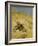 A Cat Basking in the Sun-Bruno Liljefors-Framed Giclee Print