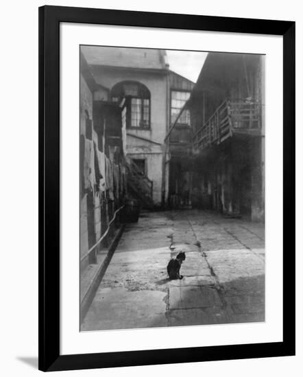 Photographic Print, , large